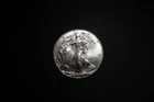 1 oz 0.999 Fine Silver American Eagle Coin 2011 BU Uncirculated #SAE13