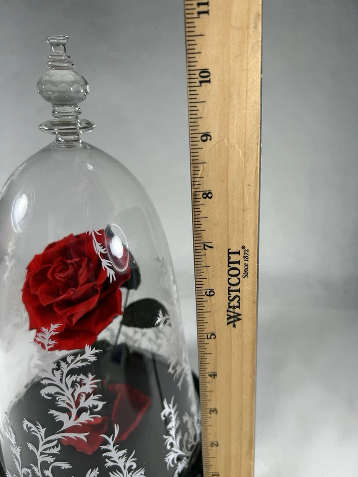 REAL Preserved Forever Rose Beauty & Beast Birthday Valentine's Day Special Gift - Image 3 of 4