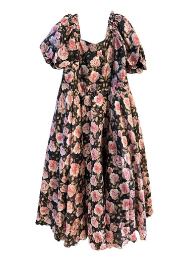 Ivy City Co Size 3XL Melody Dress in Midnight Rose Fit & Flair Whimsical Floral