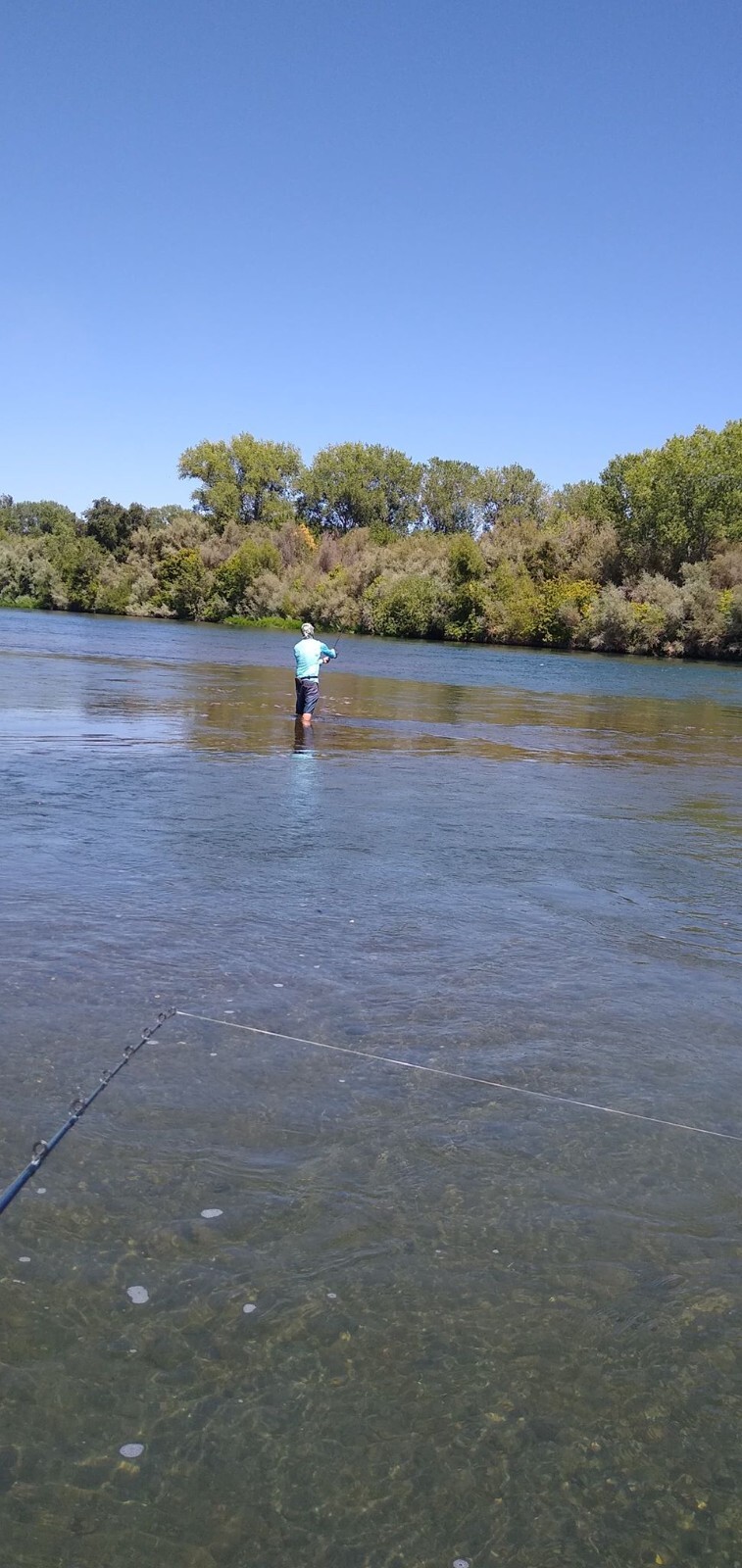 Swimbait sale auction 10 swimbaits  Striper swimbait fishing Glide Bait bass - Image 4