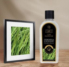 SALE Ashleigh & Burwood Effusion Lamp Fragrance Oil refills (250ml, 500ml or 1L)