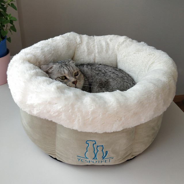 cat chair bed
