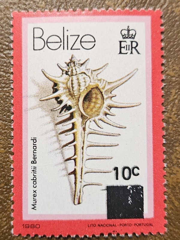 BELIZE 1983 Revalued Shell (Scott 423; SG 728) MNH