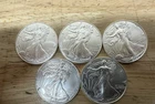 Lot of 5 Silver 2024 American Eagle 1 oz. Fine .999 US oz Coins