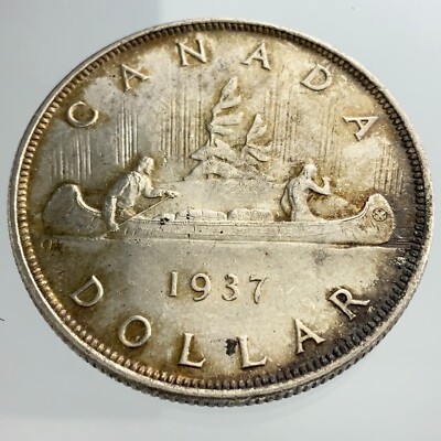 最後の1頭　台湾産　ゲンゴロウ　37mm 符節欠損 1937 Canada One 1 Dollar George VI Circulated Coin KM# 37 Some