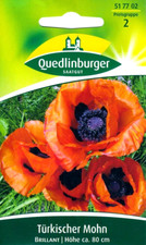 Türkischer Mohn Brillant - mit oftmals riesigen feuerroten Blüten - Blumen Samen