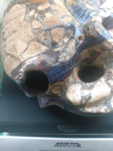 Cthulhu Totenkopf fast 6 Zoll - Bild 4 von 12