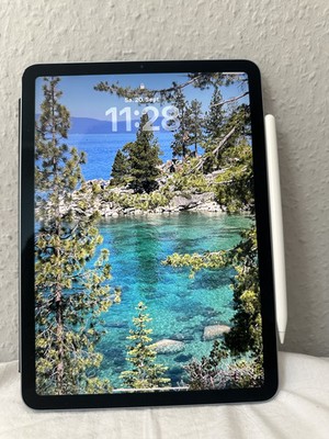 Apple iPad Air 4 (2020) 256 GB Grau + Apple Pencil 2   Top Zustand, kratzerfrei