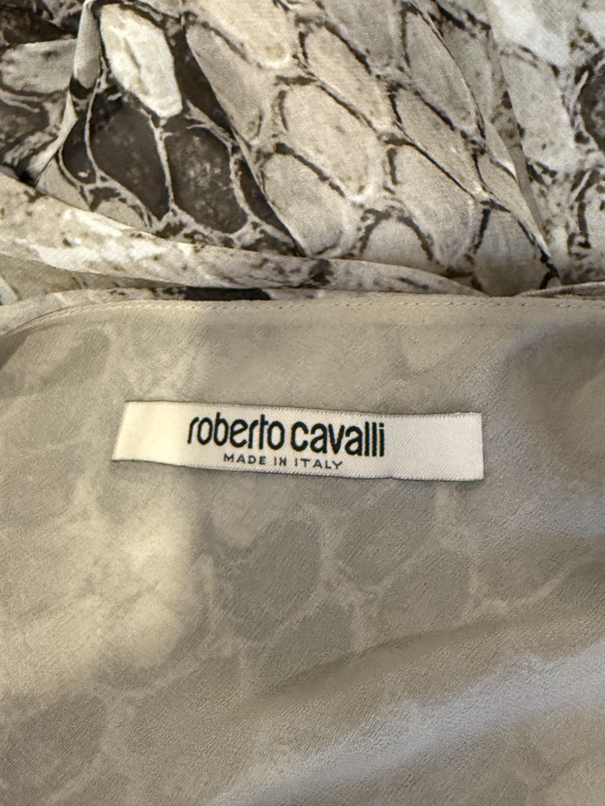 Roberto Cavalli Macro Python print ruffled maxi d… - image 9