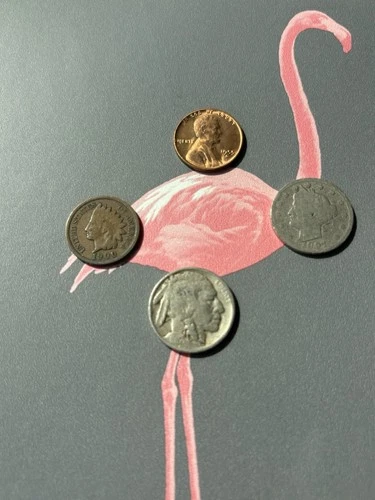 U.S. Coin Lot! Indian Head Cent Wheat Penny Liberty V & Buffalo Nickel. FREE S&H