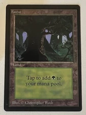 Magic the Gathering MTG Forest v.3 (Dark) Beta NM (Beta Bob)