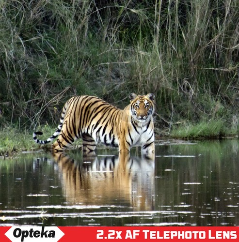 Opteka Telephoto 2.2X for Canon EF 70-300mm f/4-5.6 IS USM f/4-5.6 III - Picture 5 of 10