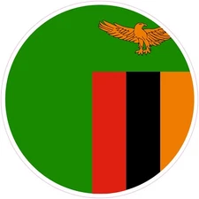 (NOT A PATCH) Zambia Country Round Shape Flag Heat Transfer Vinyl Iron On HTV 