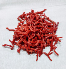 Natural Red Coral Branch, Mediterranean Red Coral Gemstone Italian Coral 5"Piece