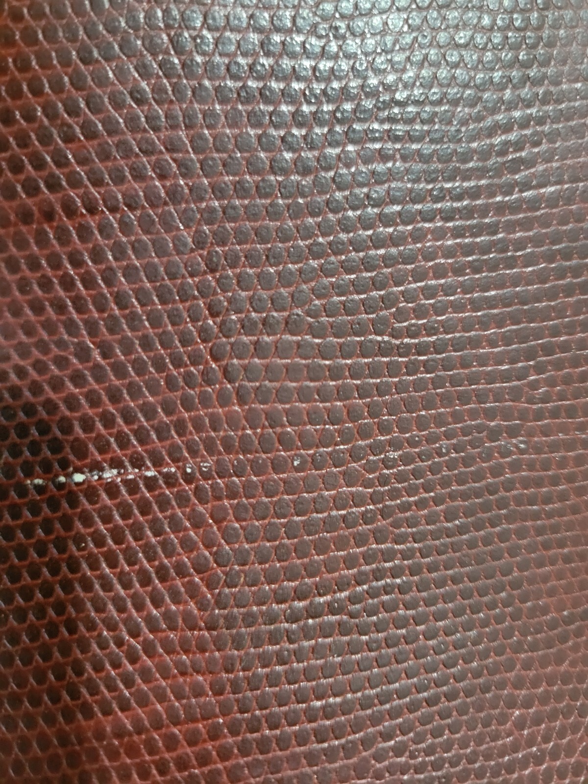 Picture 6 of 15