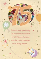 Very Special Day Sequin Filled Die Cut Window Age 75 / 75th Birthday Card