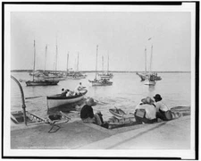 8" x 10" 1901 photo The sponge fleet, Nassau, Bahama Islds graphic