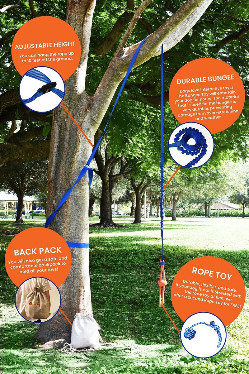 Yes4Quality Bungee-hangspeelgoed voor buiten, blauw interactief trekspeelgoedtouw met metalen veerset en 2 touwspeelgoed, robuuste trainingsapparatuur voor honden