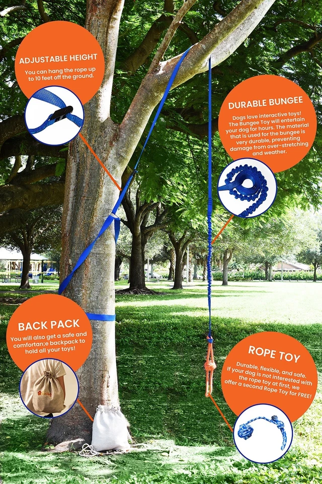 Outdoor Retractable Bungee Hanging Dog Toy, Interactive Tether Tug Toy, 2 ropes  - Image 3 of 4