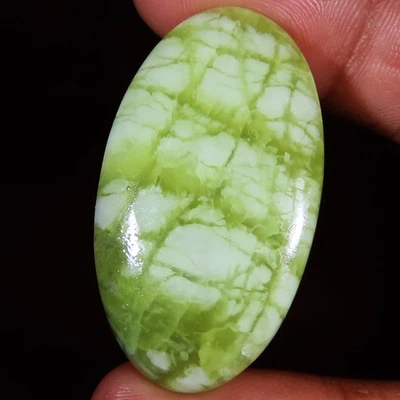 Natürlich Serpentine Cabochon Lose Edelstein 52.20 Cts. (22 x 39 X 6 MM) Oval - Bild 1 von 4