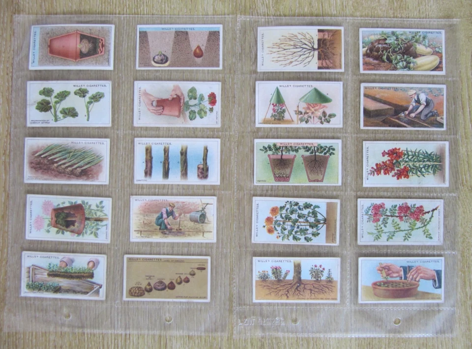 Wills Cigarette Cards - 3 x Full Sets - Gardening Hints, Flowers, Railway Equip. - Image 4 of 4