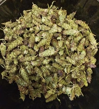 Dried Self heal (Prunella vulgaris) blossoms, organically grown