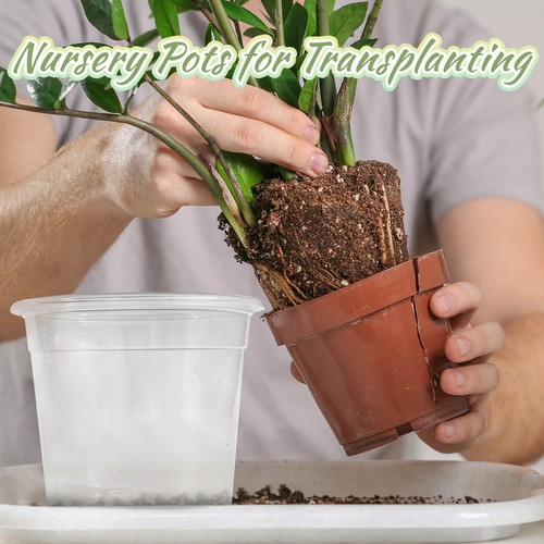 60Pcs Clear Nursery Pots with Drainage Holes,Transparent Plastic Plant Pot Se... - Picture 4 of 7
