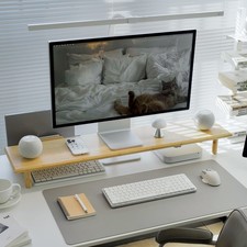 Dual Monitor Stand Riser with Underneath Storage, Ergonomic Desk Shelf Suppor...