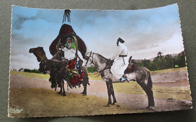 Collection Artistque L Africa/ Agreable Rencontre ~ Pleasant Meeting  Postcard