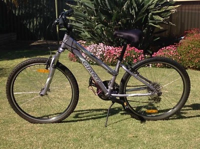 gumtree ladies mountain bike