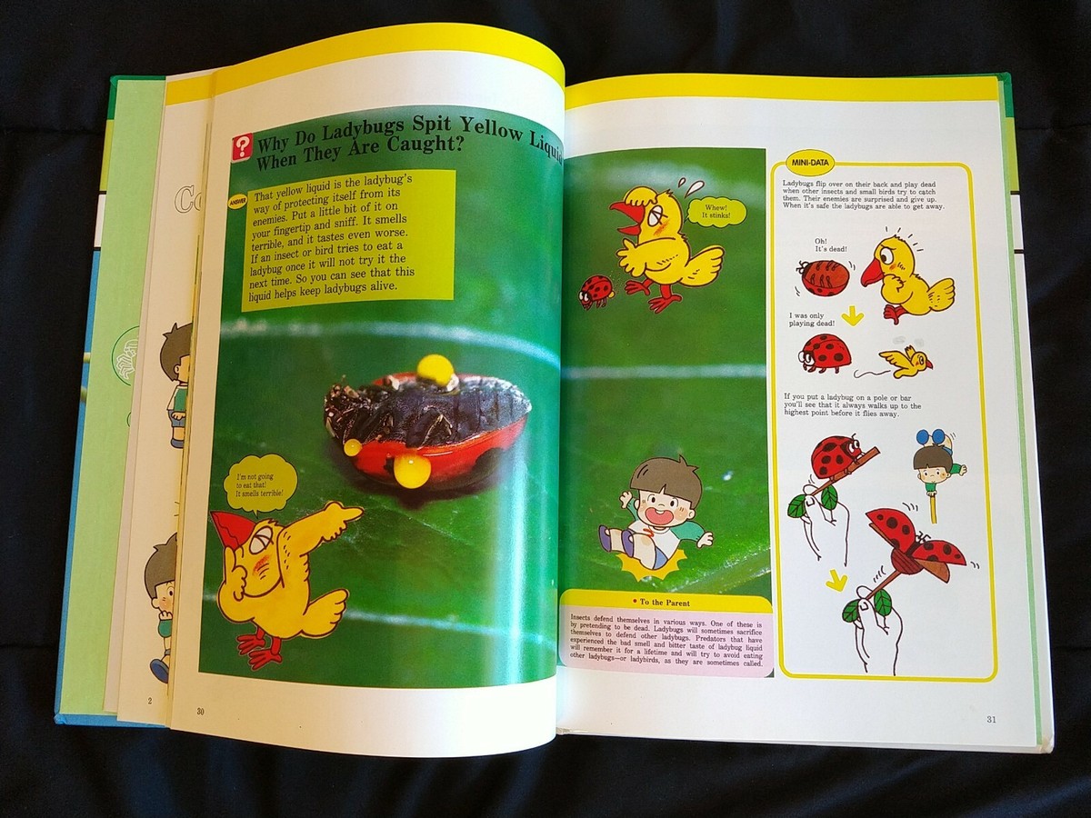 英語教育 child's first library of learning A Childs First Library of Learning (17-Volume Set): Time