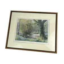 Framed Signed Limited Edition 164/850 Bluebell Wood Art Print By Ashley Bryant
