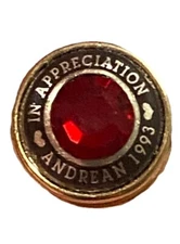 1993 Andrean High School Merrillville Indiana Lapel Pin Award In Appreciation