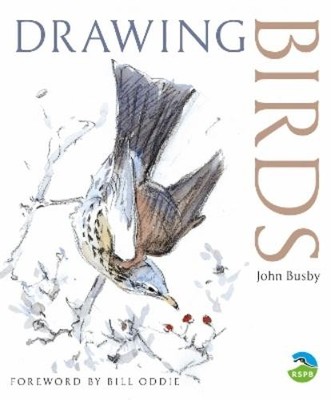 John Busby Drawing Birds (Taschenbuch) RSPB