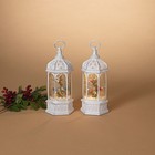 Blue Bird lighted water lantern snow globe with rotating animals