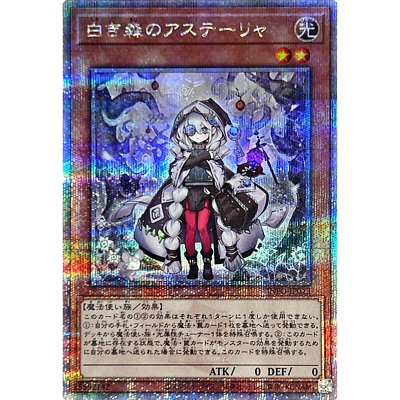 Asteria of the White Woods Quarter Century INFO-JP013 Japanese
