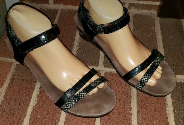 Sandals : Taos Sandals | Comfortable & Stylish Taos Sandals& Shoes for Women