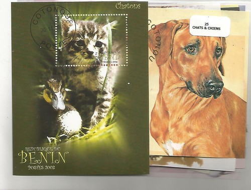 Kit broderie point de croix - Chatons et livres - Vervaco