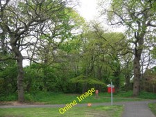 Photo 6x4 Woodland, Willowdale Way Backford Cross Small strip of woodland c2012