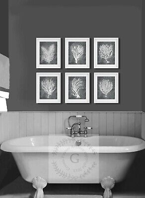 Grey Sea Corals Beach Wall Art Set Of 6 Art Prints Beach Bathroom