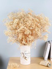 Babys Breath Dried Flowers Bouquet-17'' 3000 Dry Flowers Natural Gypsophila ...
