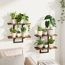 Bamworld Floating Shelves for Wall Planters Plant Holder Wall Decor Plant Stand