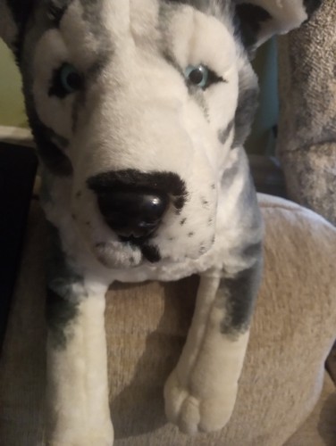 Juguetes Best Made Husky Peluche Cachorro Perro Grande Realista Peluche 28" L - Imagen 2 de 10