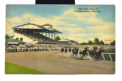 Horse Racing Ascot Park, Route 8 - Cleveland, Akron Highway - Postcard