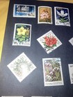 23 USSR 1967- 1986 Stamps. MNH/Cancelled. Plants/Berries. $1 Ships. A DEAL-LOOK! — photo 6
