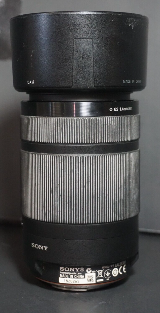 超望遠がこの価格で！SONY DT55-300F4.5-5.6SAM