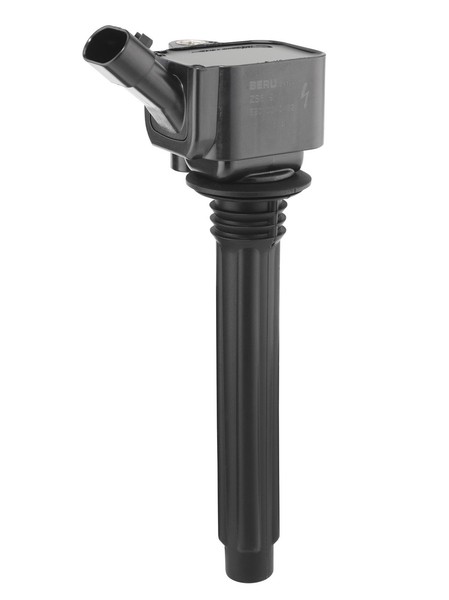 ZüNdspule Borgwarner (Beru) ZS619 12V FüR Fiat Tipo 500X 334AXE1A 356HXE11 Jeep-image