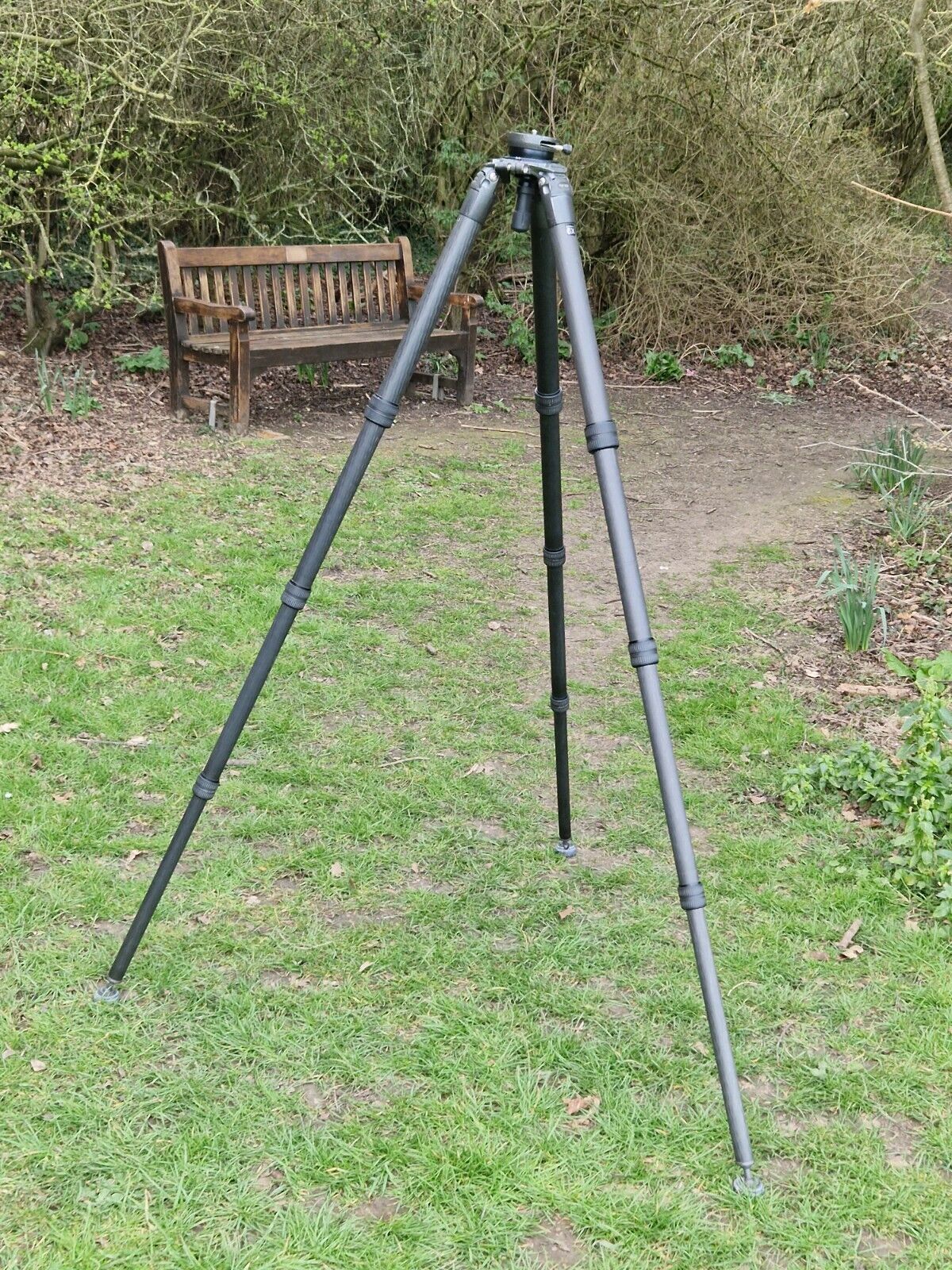 Picture 20 of 22