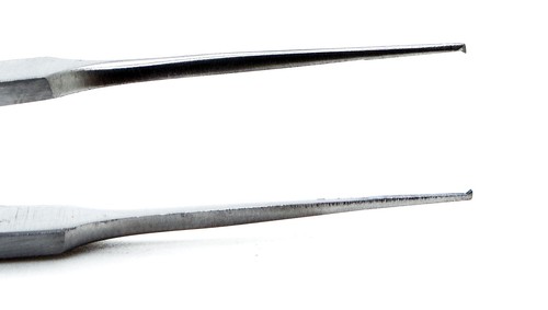10 piezas Nuevos fórceps oftálmicos castroviejo 4" Sutura 0,3 mm Atar 1x2 Micro Dientes - Imagen 6 de 7