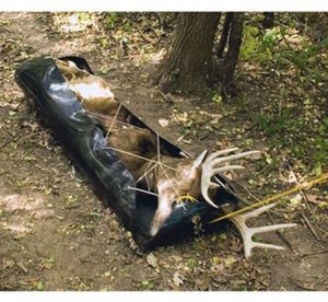 Magnum Deer Hunting Game Sled Gear Hauler Big Game Cart Slayer Sleigher S 643944110253 Ebay